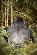 One&Only Gorilla's Nest