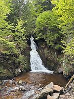 Une Odeur de Tilleul