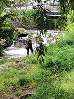 Une Odeur de Tilleul