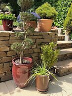 Une Odeur de Tilleul