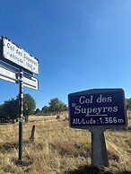 Une Odeur de Tilleul