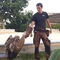 Une Odeur de Tilleul