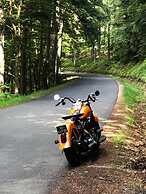 Une Odeur de Tilleul