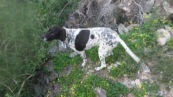 Cortijo La Fuensanta