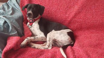 Cortijo La Fuensanta