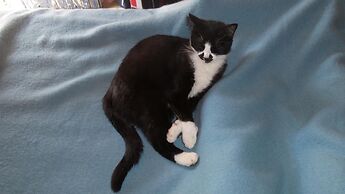 Cortijo La Fuensanta