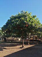 Las Quintas Casas para Vacacionar