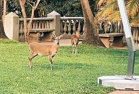 The Leslie - Bed & Breakfast