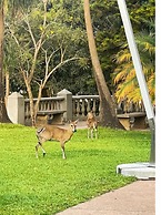 The Leslie - Bed & Breakfast