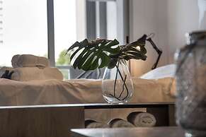 Bonpland & Nicaragua Studio