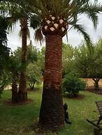 Jardí de Papallones