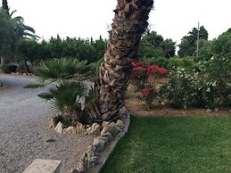 Jardí de Papallones