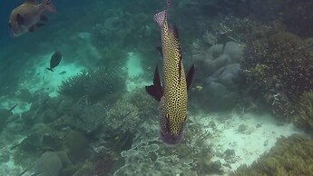 Pousada Vale Encantado