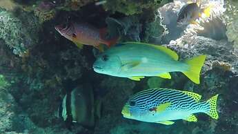 Pousada Vale Encantado