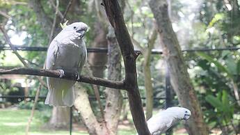 Crowne Plaza Residences Port Moresby by IHG