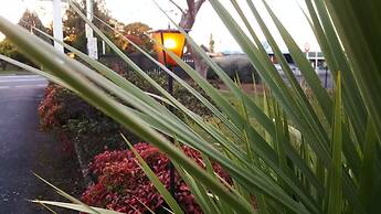 Kea Motel & Holiday Park