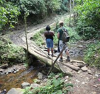 Desarrollo Biodiverso