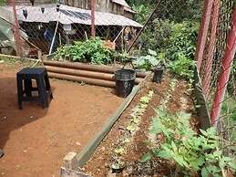 Desarrollo Biodiverso