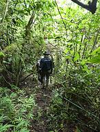 Desarrollo Biodiverso