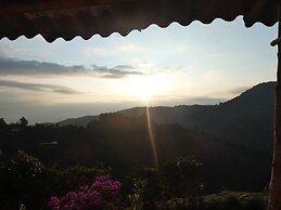 Desarrollo Biodiverso