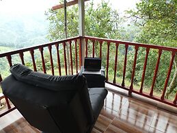 Desarrollo Biodiverso