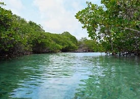 Kite Paradise Hostel-Kalpitiya