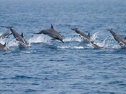 Kite Paradise Hostel-Kalpitiya