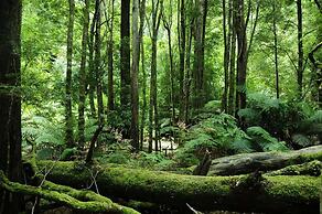 Corinna Wilderness Village