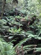 Corinna Wilderness Village