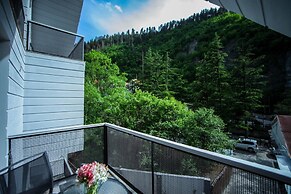 Borjomi Underwood Hotel