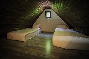 Borjomi Underwood Hotel