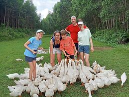 Phong Nha An An Homestay