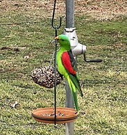 Quirindi Sunflower Motor Inn