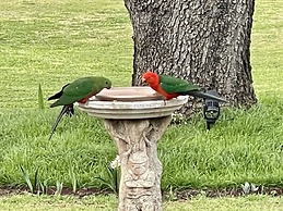 Quirindi Sunflower Motor Inn