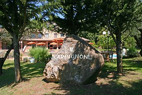 Il Carpignone