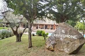 Il Carpignone