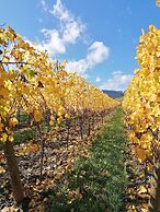 Domaine Sylvie Fahrer & Fils