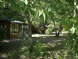 Camping Le Petit Lion - Tente Safari