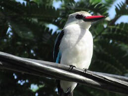 Nyange Resort and Marina