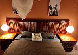 Beachfront Villa Africa Queen Jeffreys