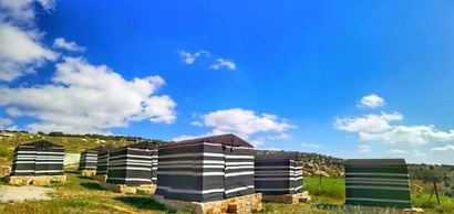 Edom camp