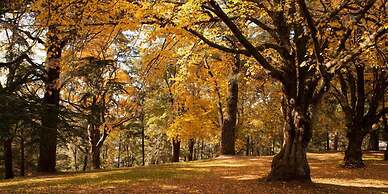 Hepburn Spa Pavilions