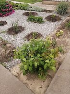 V gostyakh u Baby Poli