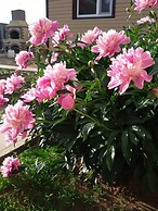 V gostyakh u Baby Poli