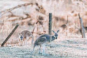 Warrawong on the Darling