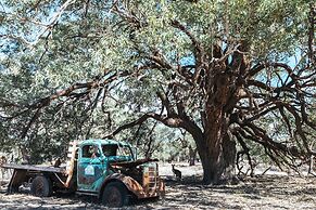 Warrawong on the Darling