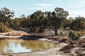 Warrawong on the Darling