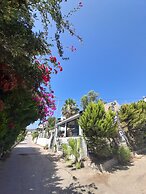 Mio Sweet Home Hotel