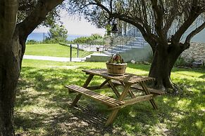 Filon Ktima Beachfront Upscale Villa