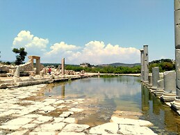 Lotus Patara Apart